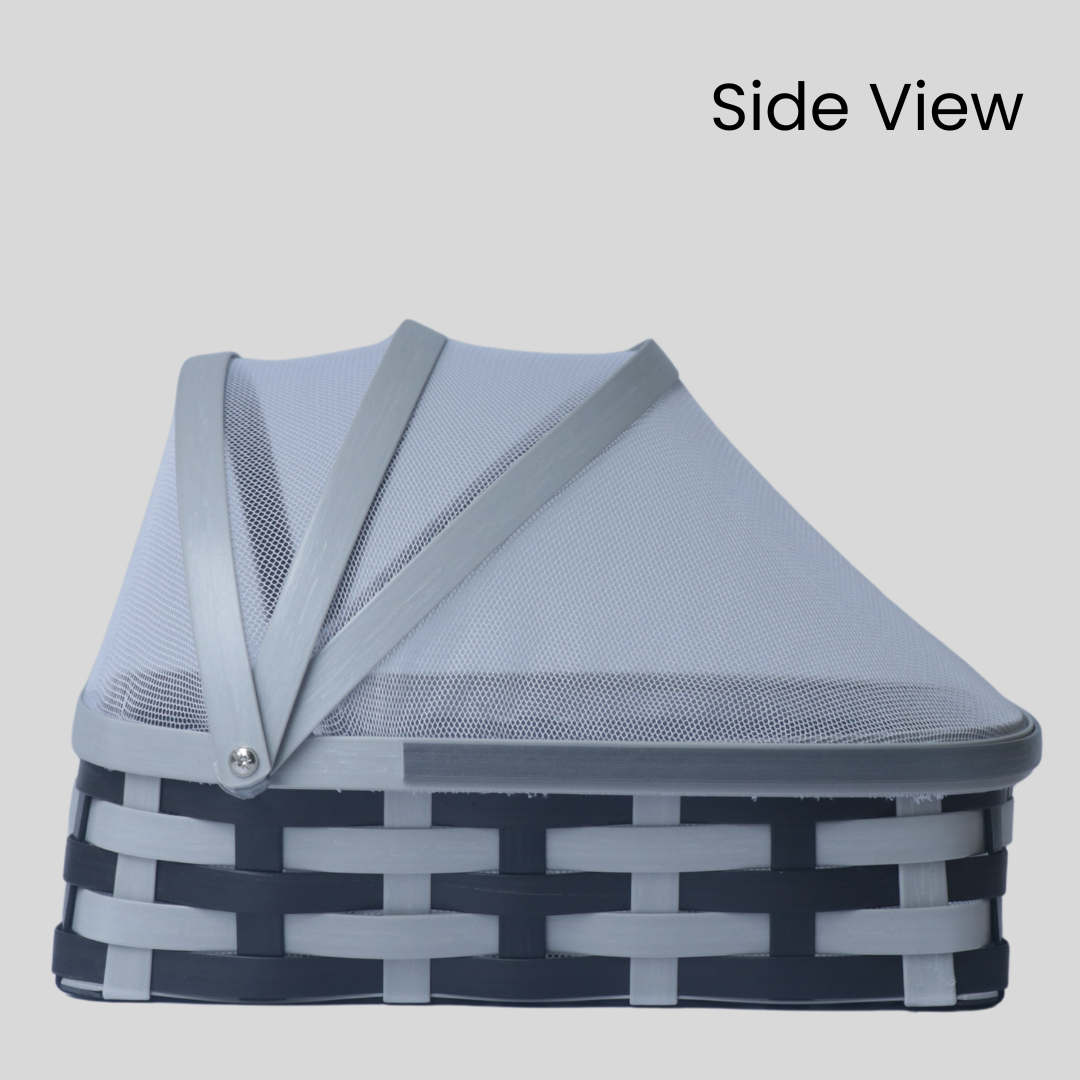 Fruit Basket-Medium